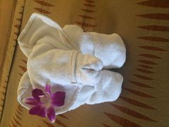 曼谷安娜塔拉河畔水疗度假村-阿瓦尼河滨曼谷酒店