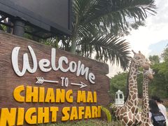 -清迈夜间动物园