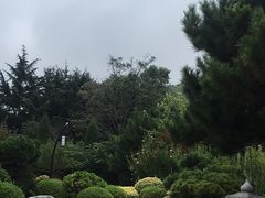-大连植物园