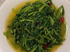 -天辣(金桥啦啦宝都店)