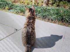 -华南国家植物园-售票处