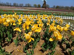 -漩门湾国家湿地公园