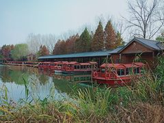 -溱湖国家湿地公园