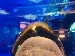 -迪拜帆船酒店海底餐厅