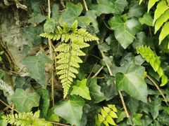 -国家植物园南园