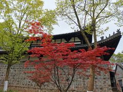 -窦圌山风景区