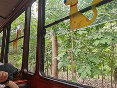 -合肥滨湖国家森林公园