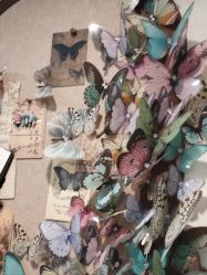 -鲸彩·美甲美睫科技护肤