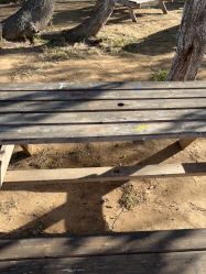 -浅山蜜塘奇妙乐园·亲子营地