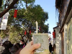 -狐狸家·酸奶酪专门店(平江路店)