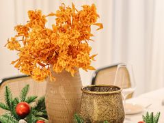 -HUATA 'Holiday Plan 花榻