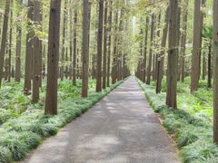 -上海怡沁园度假酒店