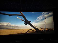 -卢米埃影城(合生广场IMAX店)