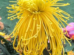 -上海市龙华烈士陵园