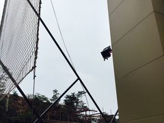 -梦幻奥陶纪景区