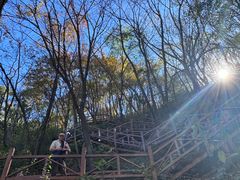 -大岭沟猕猴桃谷风景区