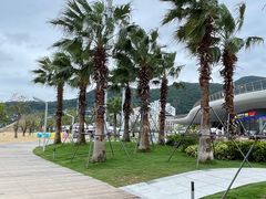 -大梅沙海滨公园