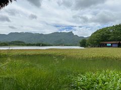 -大九湖