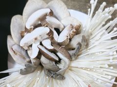 -大明铜锅·烤涮坊·烧烤(新开路店)