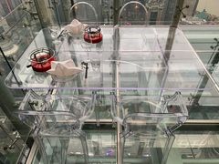 -重庆解放碑威斯汀酒店