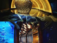 -迪拜帆船酒店海底餐厅