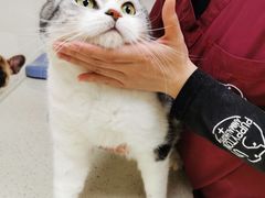 -芭比堂动物医院广州顽皮分院