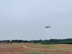 -空港花田景区