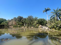 -中国科学院西双版纳热带植物园
