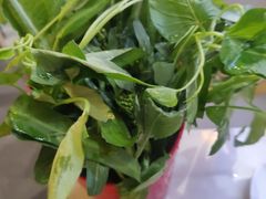 -牵牛记潮汕牛肉火锅(吾悦广场店)