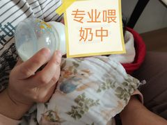 -小蝌蚪·寻·月嫂(普陀总部)