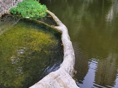 -成都市活水公园