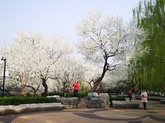 -金宫殿故址
