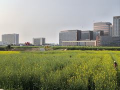 -光明小镇欢乐田园