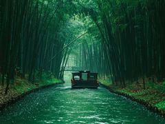 -同里国家湿地公园