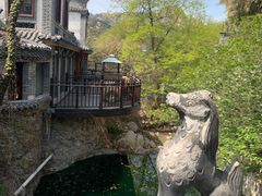 -老张烤羊(王哥庄店)