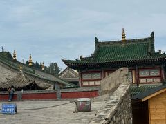 -塔尔寺-菩提树