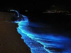 -日照世帆赛基地