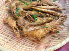 -隆都四季香饭店(碧海路店)