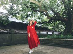 -普陀山风景名胜区-法雨禅寺