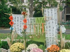 -浙江农林大学(东湖校区)