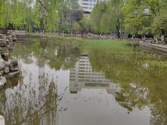 -莲湖公园