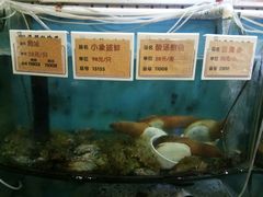 -福来齐·鲁菜海鲜·渔家菜(朝阳街分店)