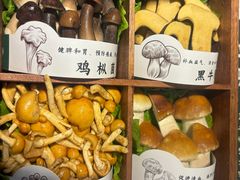 -椰子湾·海南火锅·糟粕醋·椰子鸡(正大广场店)