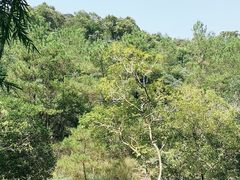 -广州白江湖森林公园