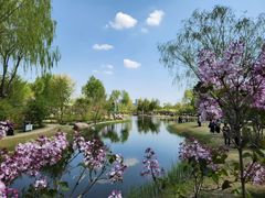 -黑龙江省森林植物园