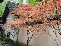 -成都杜甫草堂博物馆