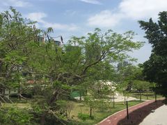 -白水带风景区体育公园