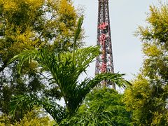 -华侨城湿地公园