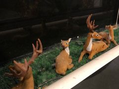 -清水湾酒店(深圳横岗塘坑地铁站店)