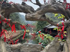 -车溪民俗旅游区